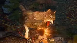 wolf_enemy